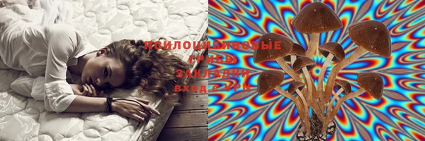 ГАЛЛЮЦИНОГЕННЫЕ ГРИБЫ Алзамай