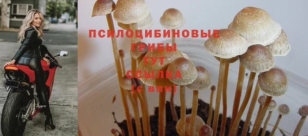ГАЛЛЮЦИНОГЕННЫЕ ГРИБЫ Алзамай